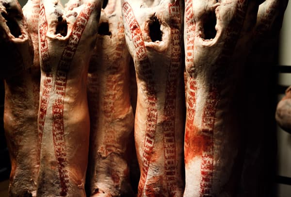 Meat hanging in refrigerator